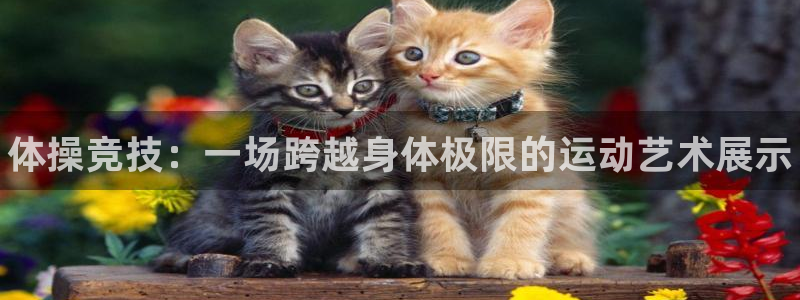 尊龙官网下载联系电话:体操竞技:一场跨越身体极限的运动艺术展
