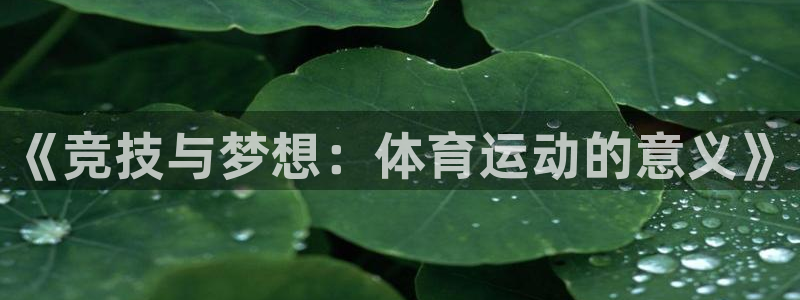 尊龙官方正版app集团logo:《竞技与梦想:体育运动的意义