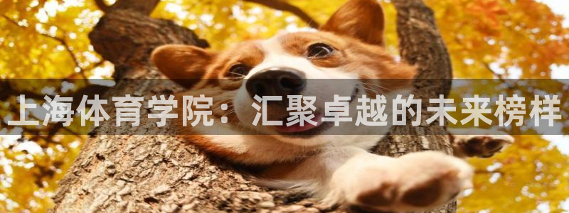 尊龙官网下载平台注册:上海体育学院:汇聚卓越的未来榜样