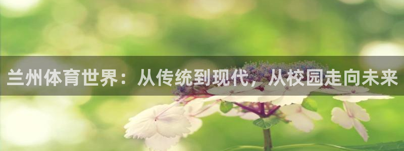 尊龙官网下载软件:兰州体育世界:从传统到现代,从校园走向未来